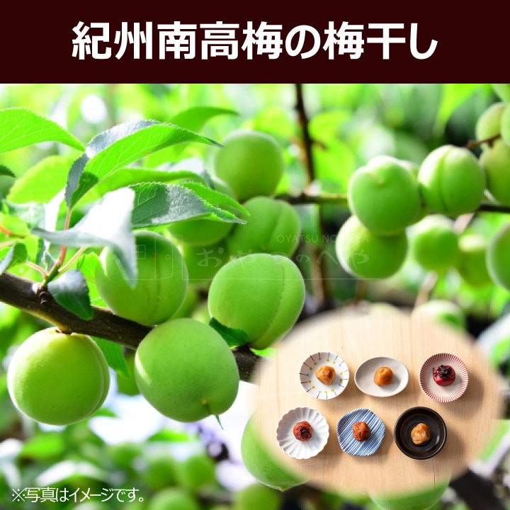 NAIR6  ߴ ̣ 6߳80g Բ ľ