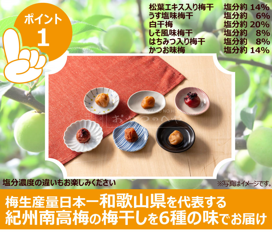 NAIR6  ߴ ̣ 6߳80g Բ ľ