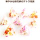 �ڤ������ �߸˸¤�۹� ����� ���α� �ƥȥ� ������ 150g ��35�� Ʀ�ʤ� ��ʬ�� ���� �ۻ�