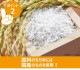 �ڤ������ �߸˸¤�۹� ����� ���α� �ƥȥ� ������ 300g��150g��2�� ��70�� Ʀ�ʤ� ��ʬ�� ���޲ۻ�