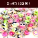 �ҤʤޤĤ� �ۻ� �衼�� ����å��� 100������ ������ �᡼���� ������Բġ� �������� ��������