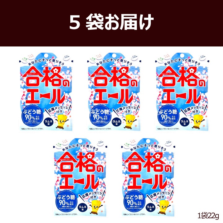 ���沽�� ��ʤΥ����� ����̣ ���֥�å� 22g��5�� �᡼���ء�����Բġ� ���� ��ʻ ����
