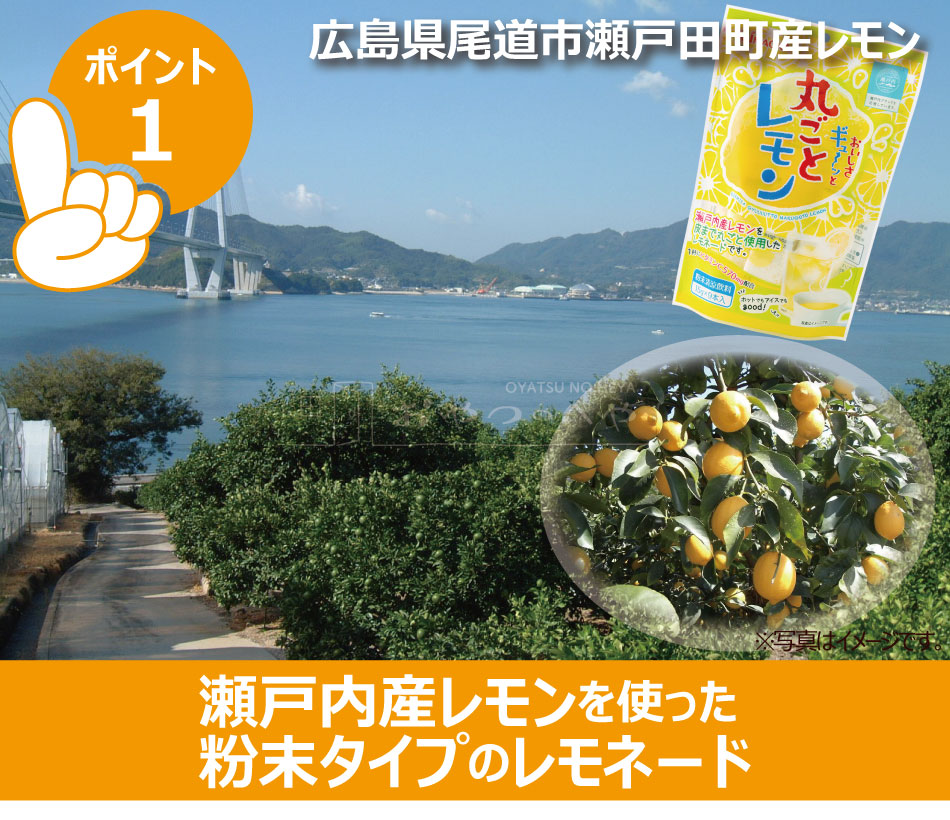 ʴ�� ���͡��� �����⻺ ���� ���� 135g��15g��9�ܡˡ�3�ޥ��å� ʴ�����ð��� �᡼���ء�������Բġ�