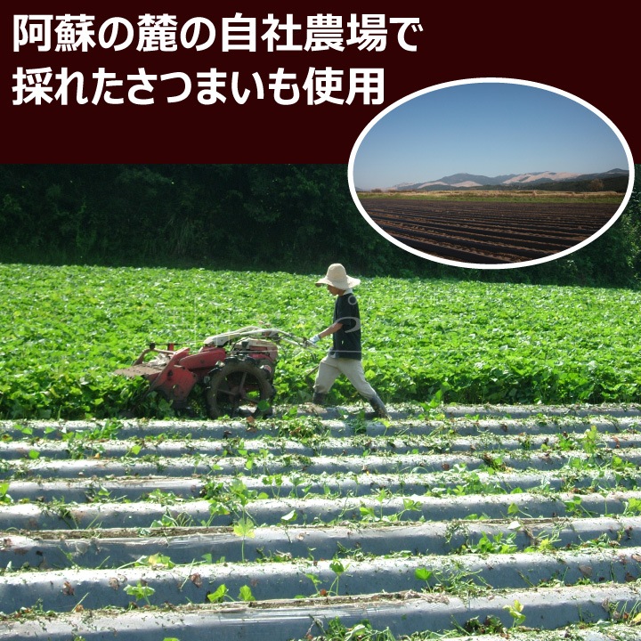 IO-40 Ĺʼ ܤؤ ܤʤĻ 15ġ53 Ĥ 1ޡ500g å  Բ