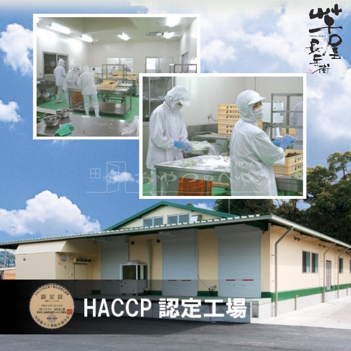 IO-40 Ĺʼ ܤؤ ܤʤĻ 15ġ53 Ĥ 1ޡ500g å  Բ