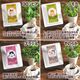 ǭ�� ���ե�����쥹�����ҡ� �ɥ�åץХå� 8�糧�å� �᡼���ء�������Բġ� �ǥ��ե� Decaf ǭ���� �ͤ�