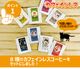 ǭ�� ���ե�����쥹�����ҡ� �ɥ�åץХå� 8�糧�å� �᡼���ء�������Բġ� �ǥ��ե� Decaf ǭ���� �ͤ�