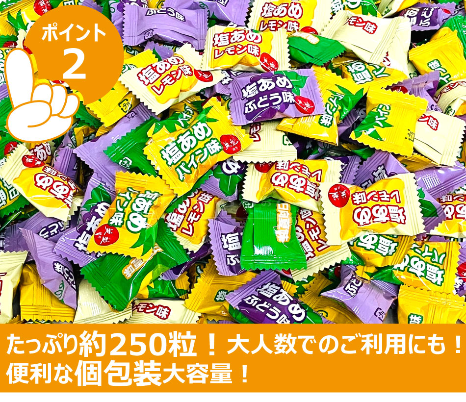���沽�� ŷ���α����� 4��ߥå��� 1kg �ʸ����� ��250γ�� Ǯ����к� ��̳��
