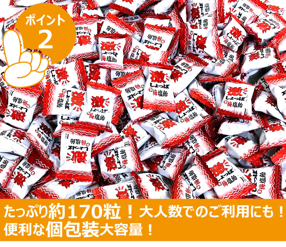 ����Ϻ���� �㤷��ä����߱��� �²λ������������� 1kg �ʸ����� ��170γ�� Ǯ����к� ��̳��