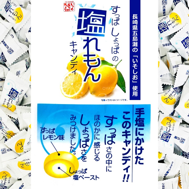 �������� �����󥭥��ǥ� Ĺ�긩������Ρ֤��������׻��� 800g�ʸ����� ��180γ�� ��̳�� ���� �뤵 �Խ� Ǯ����к�