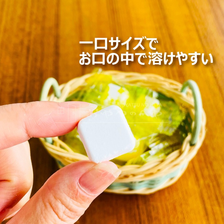 ������� �������������֤ɤ��� ���֥�å� 2g��1,000γ ����2kg�� Ǯ����к� ��̳��