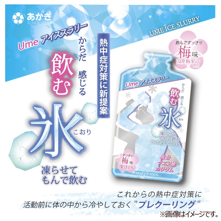 ����ɹ Ume ����������꡼ 1������ 80������ �� ��