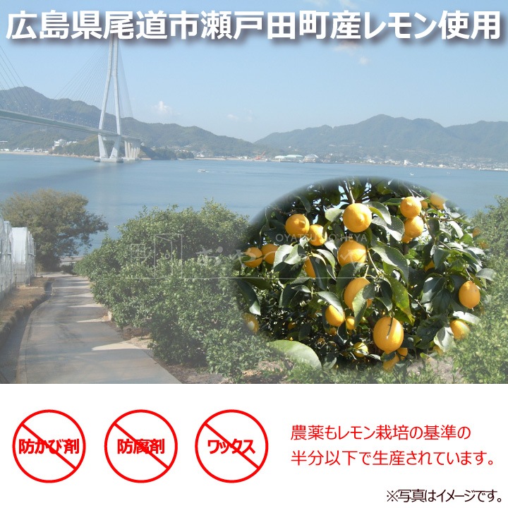 ��̳�� ���͡��� ���ƥ��å� ������ 10kg (��600��ʬ) ���� ʴ�����ð��� ������ �ۥå� Ǯ����к�