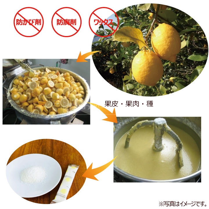 ��̳�� ���͡��� ���ƥ��å� ������ 10kg (��600��ʬ) ���� ʴ�����ð��� ������ �ۥå� Ǯ����к�