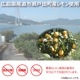 ��̳�� ���͡��� ���ƥ��å� ������ 10kg (��600��ʬ) ���� ʴ�����ð��� ������ �ۥå� Ǯ����к�