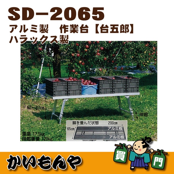 ��SD-2065�ۥ������������桡�ϥ�å������ڎҎ�����ľ������Բġ�