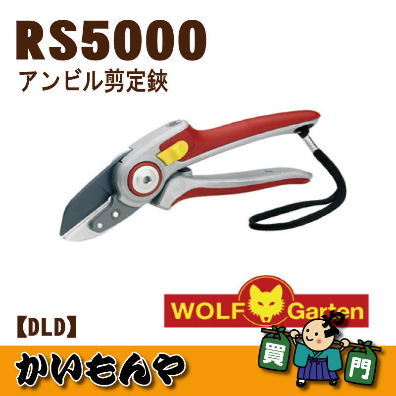 ��RS5000�� ����ӥ�����Ф��ߡ��ģ̣ġ��ڎҎ�����ľ���ۡ�����Բľ��ʡ�