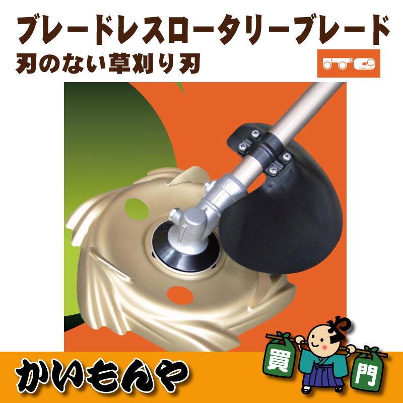 ��2019ǯ�٥�ǥ�ۿϤΤʤ��𴢿� �֥졼�ɥ쥹�������꡼�֥졼�� 1�硡��ƣ�졼���󥰥����ӥ�����������Բġ�