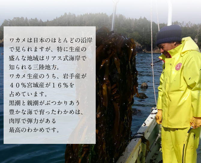 Φ狼 150g_᡼̵ ɿȤ狼