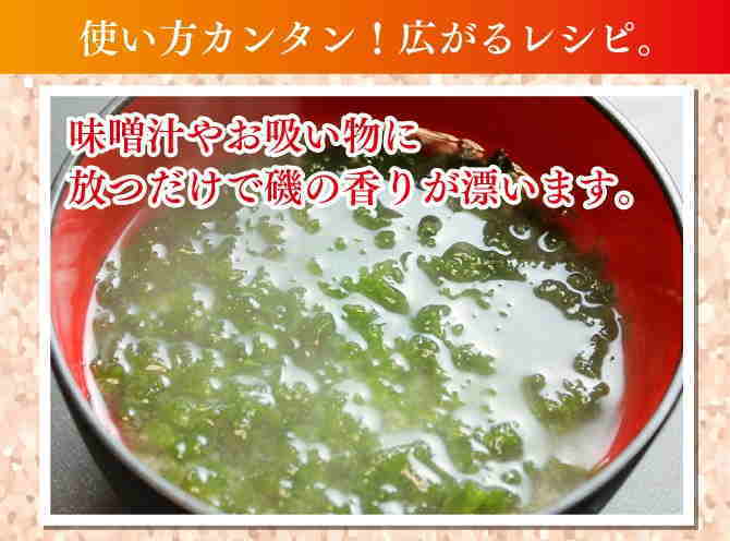 ໺ 20g _᡼̵ ̵ź إ륷   ĤΤ