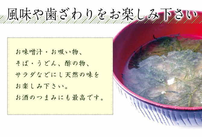 ΦƤޥĥ ᡼̵ Φû ̣ζ ݤʪ