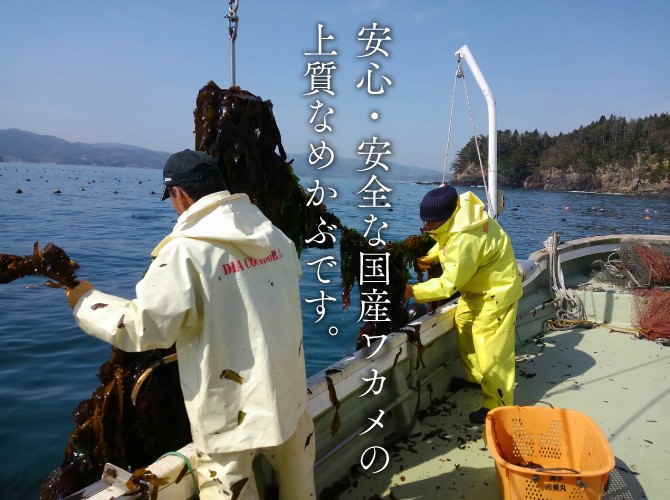 �˰��Ҥӡʴ����ߥᥫ�֡�60g _�ʥ᡼��������̵�� �ᤫ��