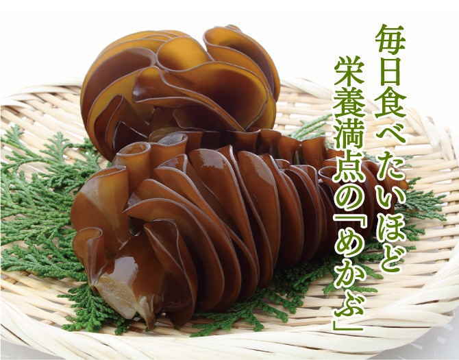 �˰��Ҥӡʴ����ߥᥫ�֡�60g _�ʥ᡼��������̵�� �ᤫ��