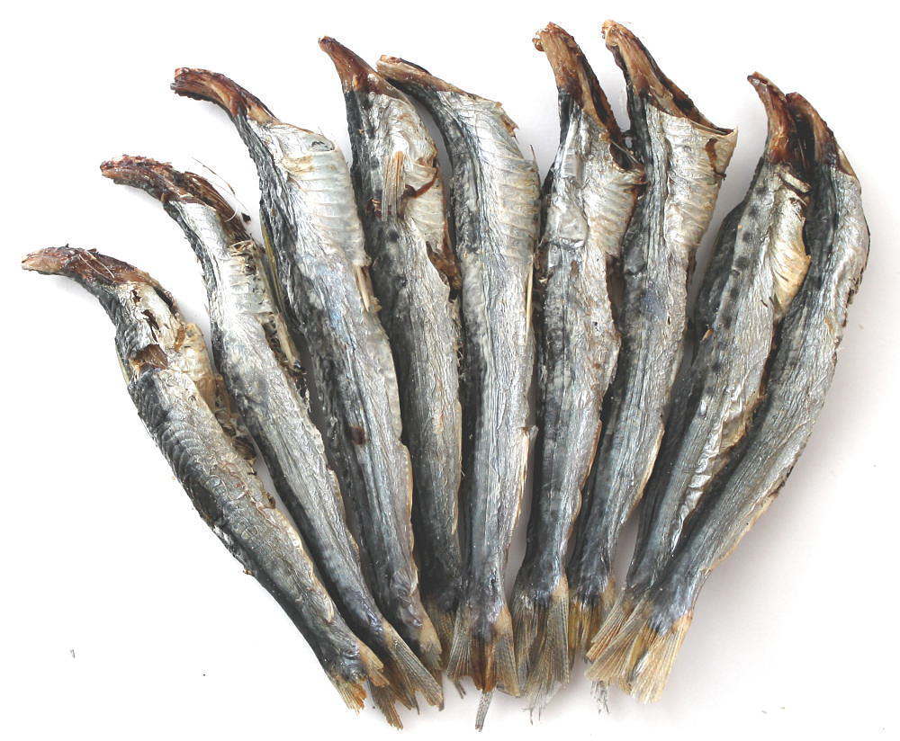 むつ湾産 いわし焼き干し 40g ダシは普通の煮干しの3倍 すべての商品 海藻問屋 むつ湾産 いわし焼き干し 40g ダシは普通の煮干しの3倍 すべての商品 海藻問屋