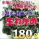 ��Φ�������狼��ʸ���������180g