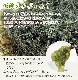 �˰��Ҥӡʴ����ߥᥫ�֡�400g������