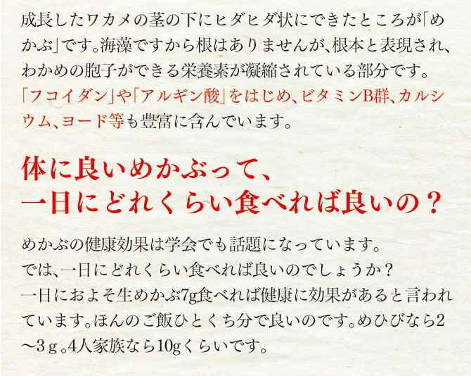 �˰��Ҥӡʴ����ߥᥫ�֡�100g