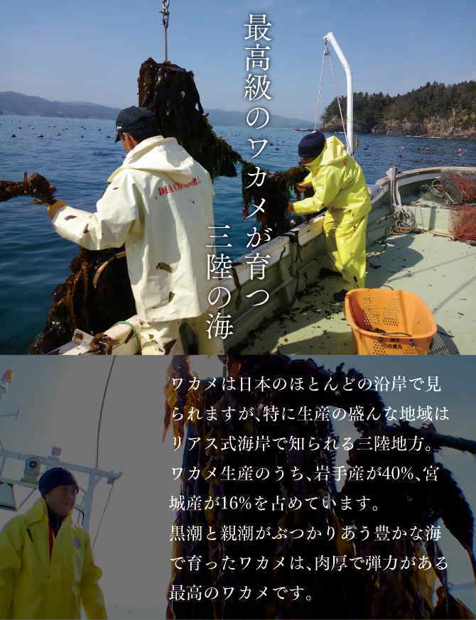 �˰��Ҥӡʴ����ߥᥫ�֡�100g