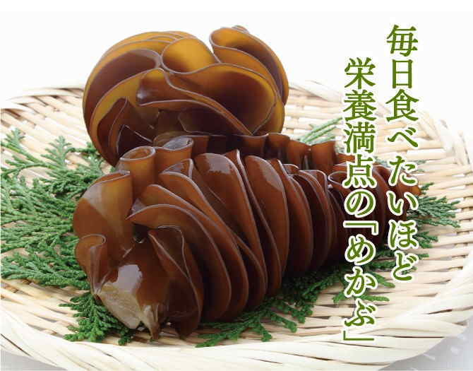 �˰��Ҥӡʴ����ߥᥫ�֡�100g