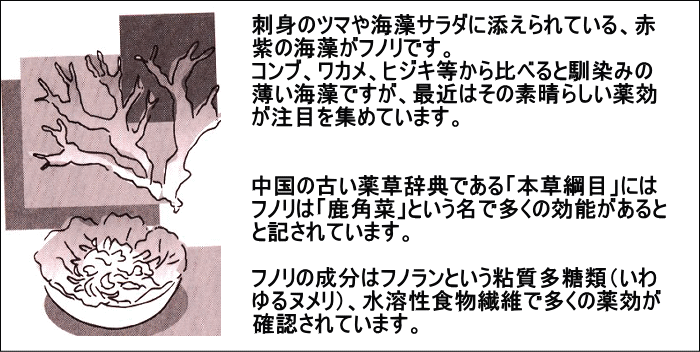 �դΤ� 120g ���� ���� �߾ػ� ���դΤ� �եΥ� ̣�����ζ�� ̵ź�ÿ��� �������å� �㥫���꡼ ������