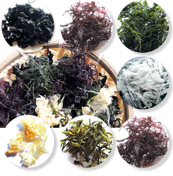 ���������30g�ʴ��祿���ס�