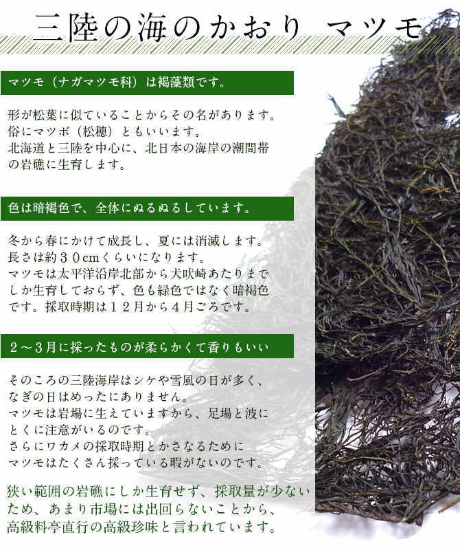 ��Φ���Ƥ��ޥĥ��Ʊ���������� �ޤȤ��㤤�������� ��
