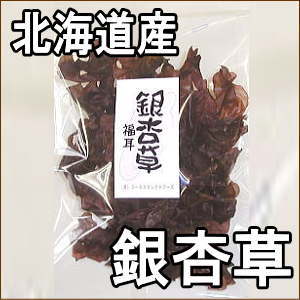 �����40g��ʩ�μ����̳�ƻ��