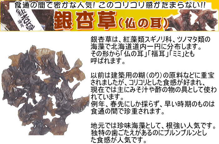 �����40g��ʩ�μ����̳�ƻ��