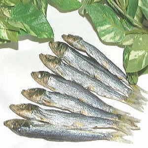 �˾夦���ݴ����ʾ崥��100g����