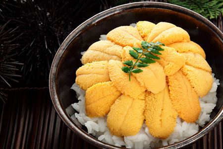 饵˱ѥå100