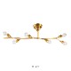 󥰥饤 6 ǥ Kladi LT-4377-80    ŷ LED ̲ ʥ ץ ܥ˥ ƥꥢ ӥ ˥ ӥ󥰾  襤 ƥꥢ 饤  ե 뤤