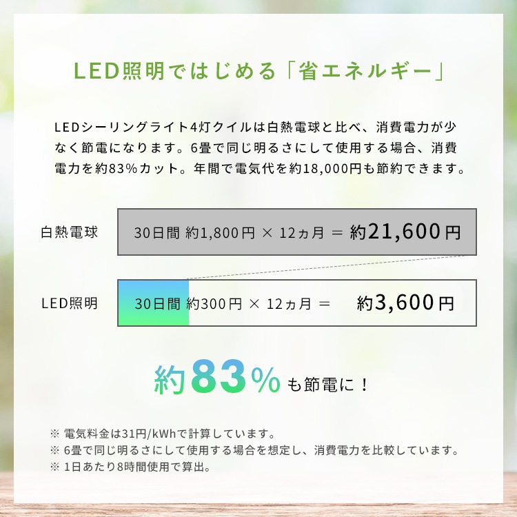 ĴĴ ⥳դۥ󥰥饤 4  LED 6 8 ̲   ݥåȥ饤 ܾ ӥ ˥  å ¼ ŵ  ŷ 롼饤  餷 ץ Ҷ ƥꥢ ñۤ