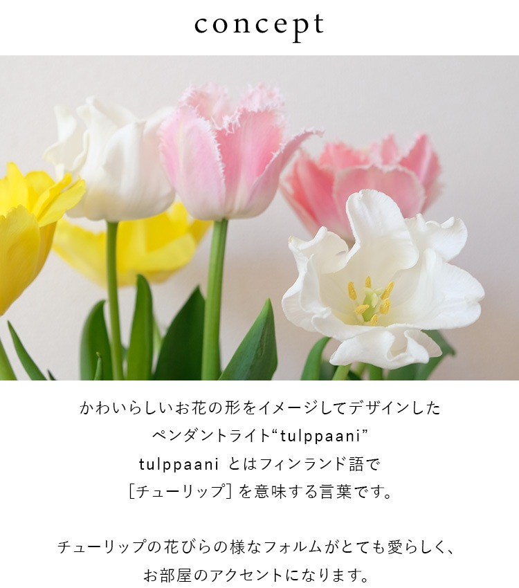 ֥饱åȥ饤 tulppaani ȥѡ 󥻥դ aina  饤  ɳݤ դ ̾  ܾ   إ饤 ⸼ؾ ̽ ̲  襤  ˥  ȥ 餷 kakko