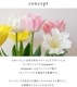 ֥饱åȥ饤 tulppaani ȥѡ 󥻥դ aina  饤  ɳݤ դ ̾  ܾ   إ饤 ⸼ؾ ̽ ̲  襤  ˥  ȥ 餷 kakko