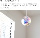 ܥ̥ڥȥ饤 1 ̲   ŷ 󥰥饤 襤 餷 ŵ ˥ å ƥꥢ ⸼ؾ ȥ  ϭ  ܾ إ饤