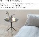 Bundle Of Light ֤ ʥȥ饤 ߥåե ̲  ե  ʪ ܥꥹ 饤 Ҥɤ å ץ ץ쥼 лˤ  ǥå֥롼 ͤ襤 Dick Bruna 