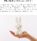 Bundle Of Light ֤ ʥȥ饤 ߥåե ̲  ե  ʪ ܥꥹ 饤 Ҥɤ å ץ ץ쥼 лˤ  ǥå֥롼 ͤ襤 Dick Bruna 
