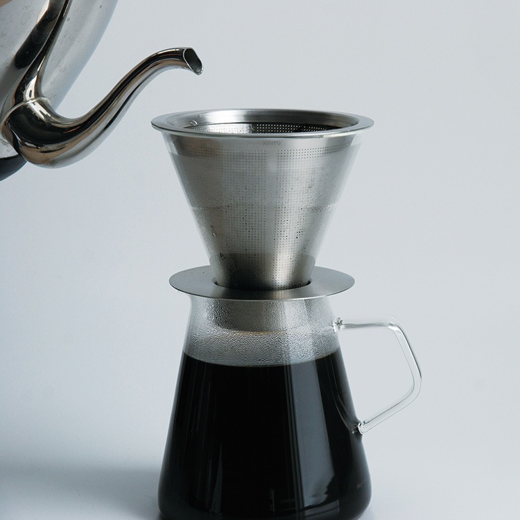 激レア】リグナムバイタ・癒瘡木の越冬した実生苗2