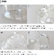 ȥɥ饹  饷å 1.75l ɥ Ǯ 饹 ľ Żҥ  Ʃ ꥢ Trendglas Jena Classic 1.75G  襤 䤫 ȥ  ݥå ƥ  ե ץ쥼
