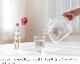 ȥɥ饹  饷å 1.75l ɥ Ǯ 饹 ľ Żҥ  Ʃ ꥢ Trendglas Jena Classic 1.75G  襤 䤫 ȥ  ݥå ƥ  ե ץ쥼